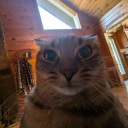 pfp